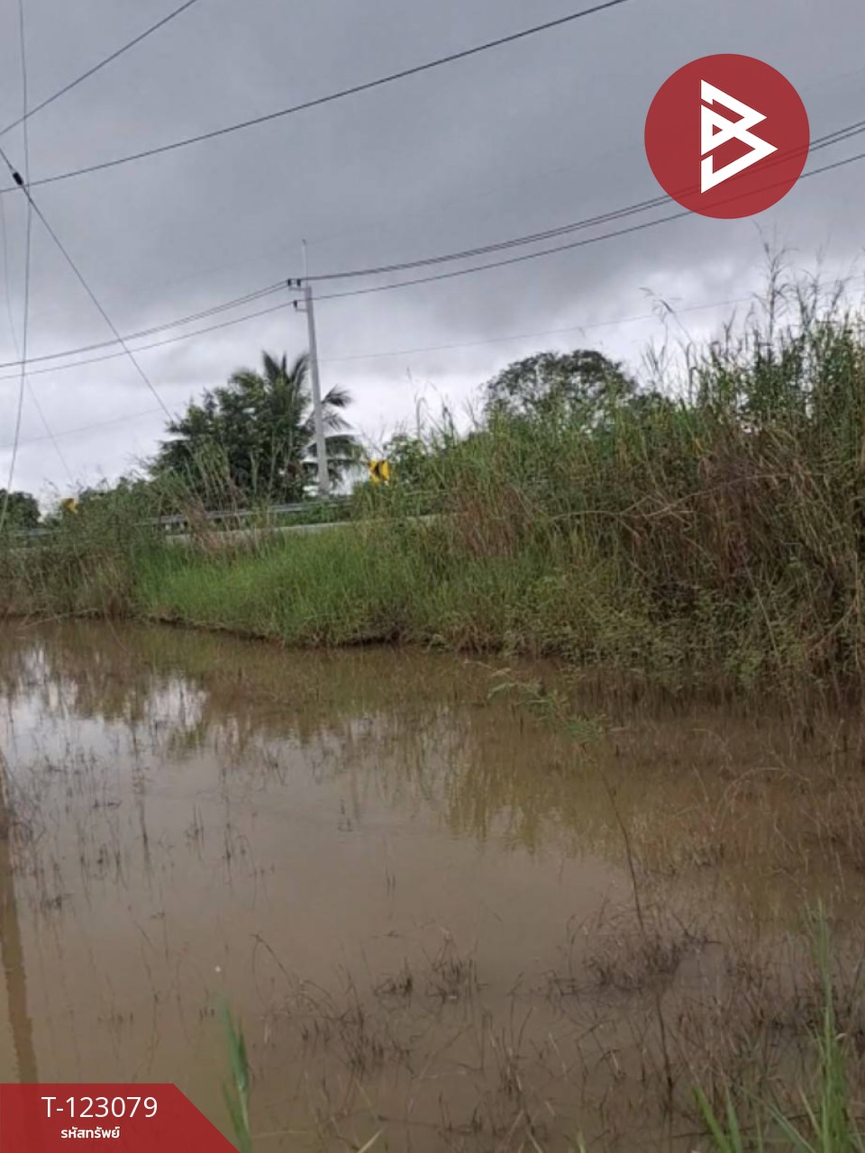 ขายที่ดิน เนื้อที่ 3 ไร่ 2 งาน 48 ตร.วา เทิง เชียงราย 8