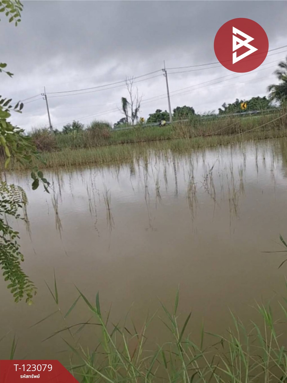 ขายที่ดิน เนื้อที่ 3 ไร่ 2 งาน 48 ตร.วา เทิง เชียงราย 4