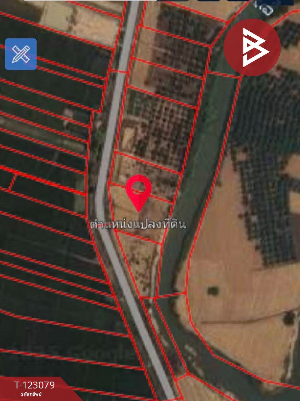 ขายที่ดิน เนื้อที่ 3 ไร่ 2 งาน 48 ตร.วา เทิง เชียงราย 12