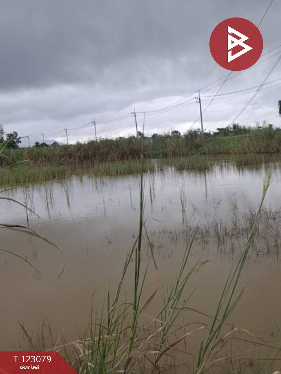 ขายที่ดิน เนื้อที่ 3 ไร่ 2 งาน 48 ตร.วา เทิง เชียงราย 2