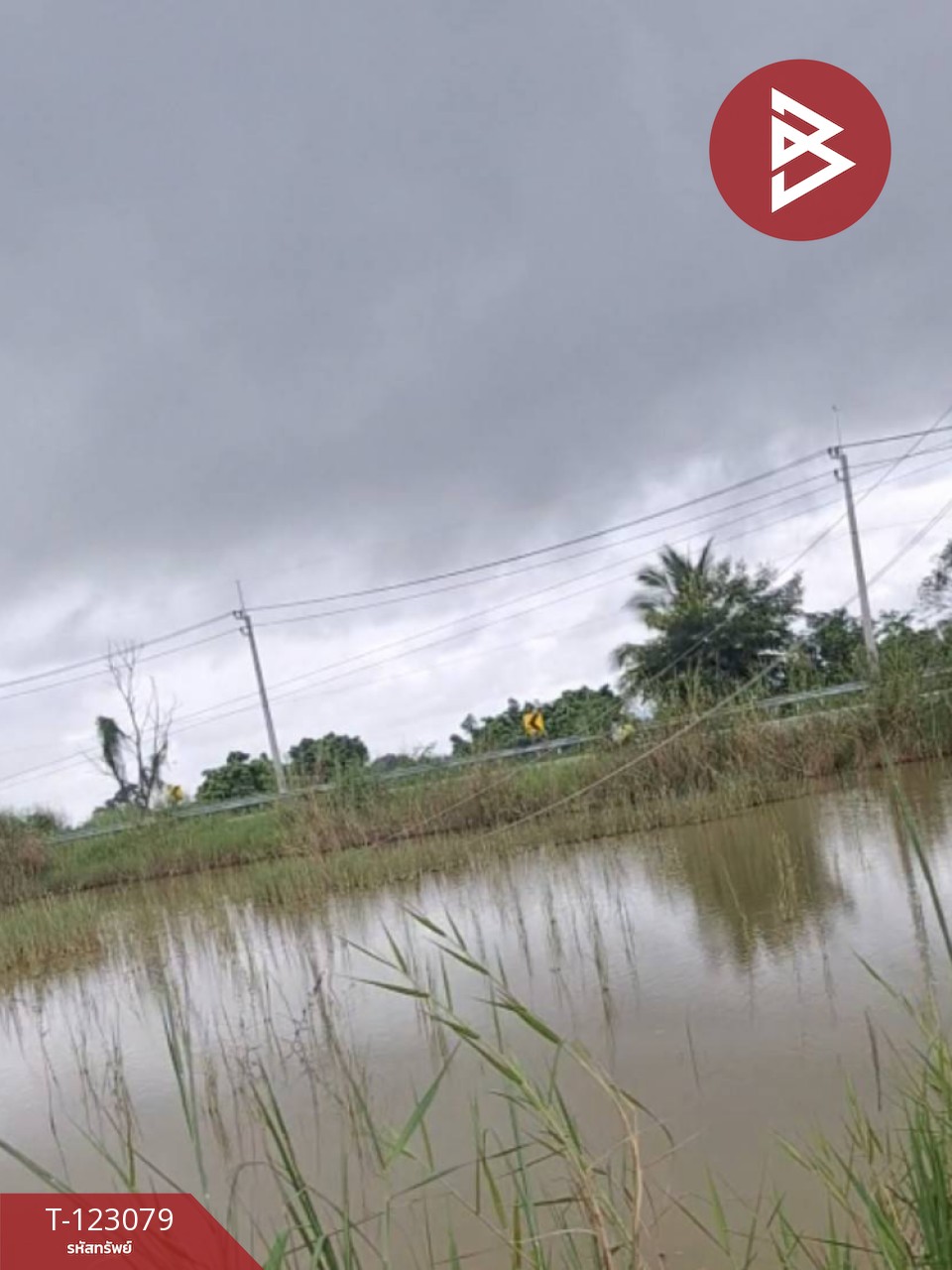 ขายที่ดิน เนื้อที่ 3 ไร่ 2 งาน 48 ตร.วา เทิง เชียงราย 7