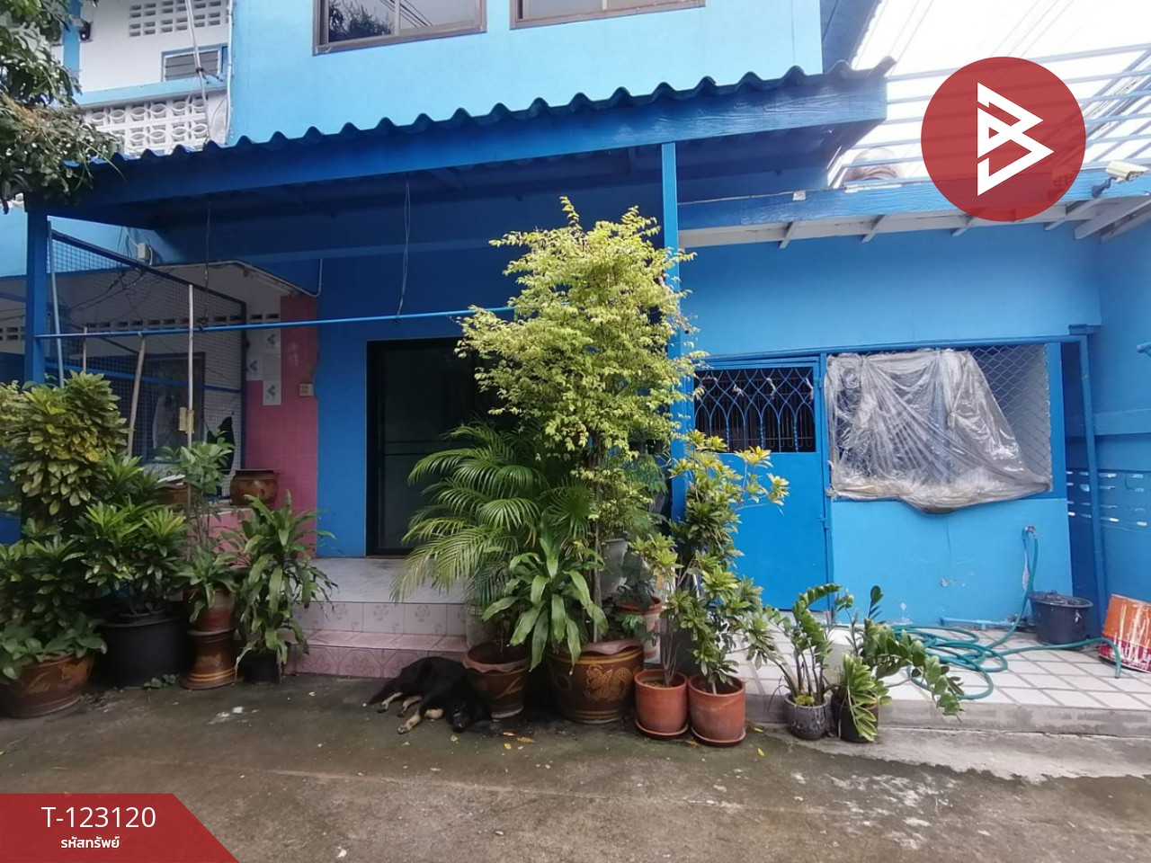 ขายอพาร์ทเม้นท์ 2 ชั้น เนื้อที่  1 งาน 10 ตร.วา บางเมือง สมุทรปราการ 11