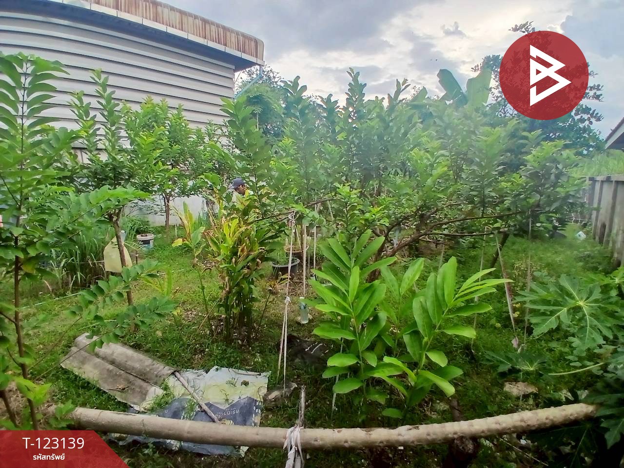 ขายบ้านเดี่ยว 2 ชั้น เนื้อที่ 92 ตารางวา กระทุ่มแบน สมุทรสาคร ทำเลดี 8