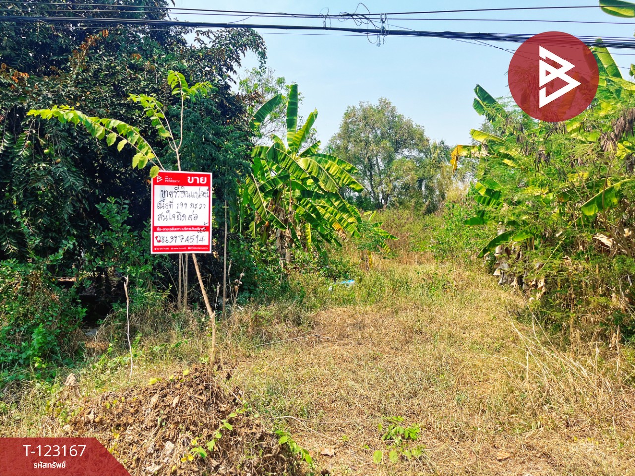 ขายที่ดิน เนื้อที่ 1 งาน 99 ตร.วา หนองขาหย่าง อุทัยธานี 7