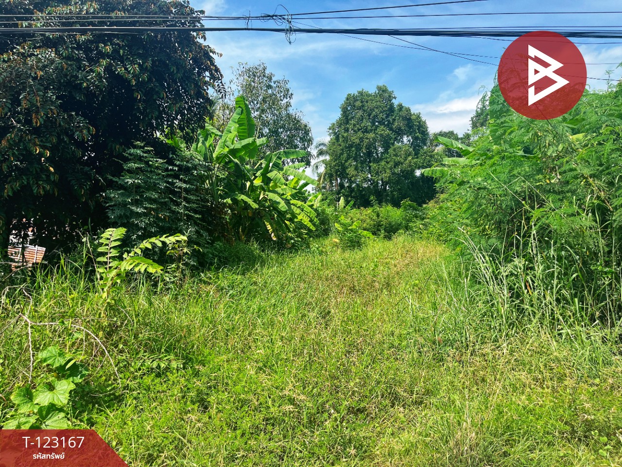 ขายที่ดิน เนื้อที่ 1 งาน 99 ตร.วา หนองขาหย่าง อุทัยธานี 3