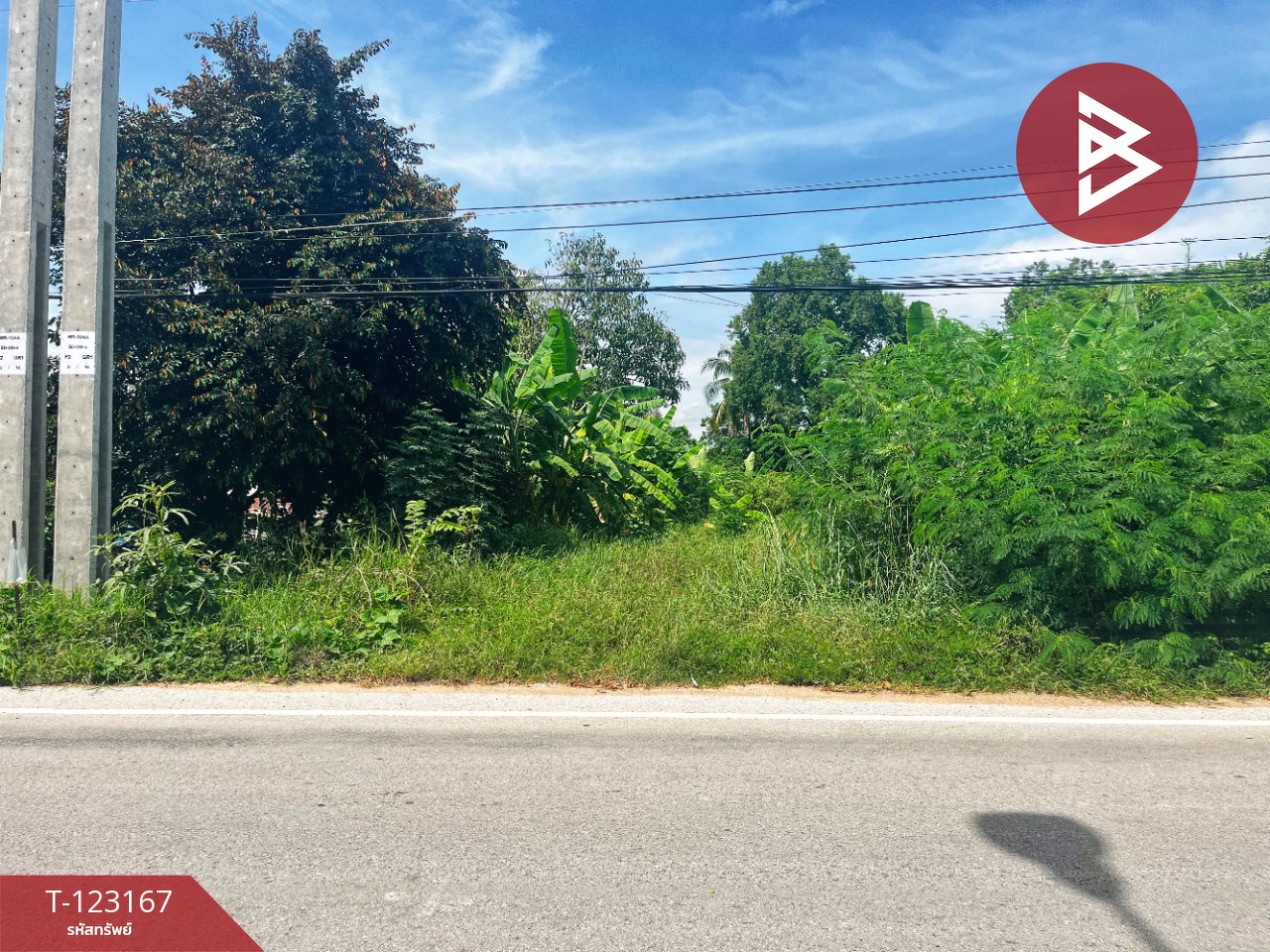 ขายที่ดิน เนื้อที่ 1 งาน 99 ตร.วา หนองขาหย่าง อุทัยธานี 6