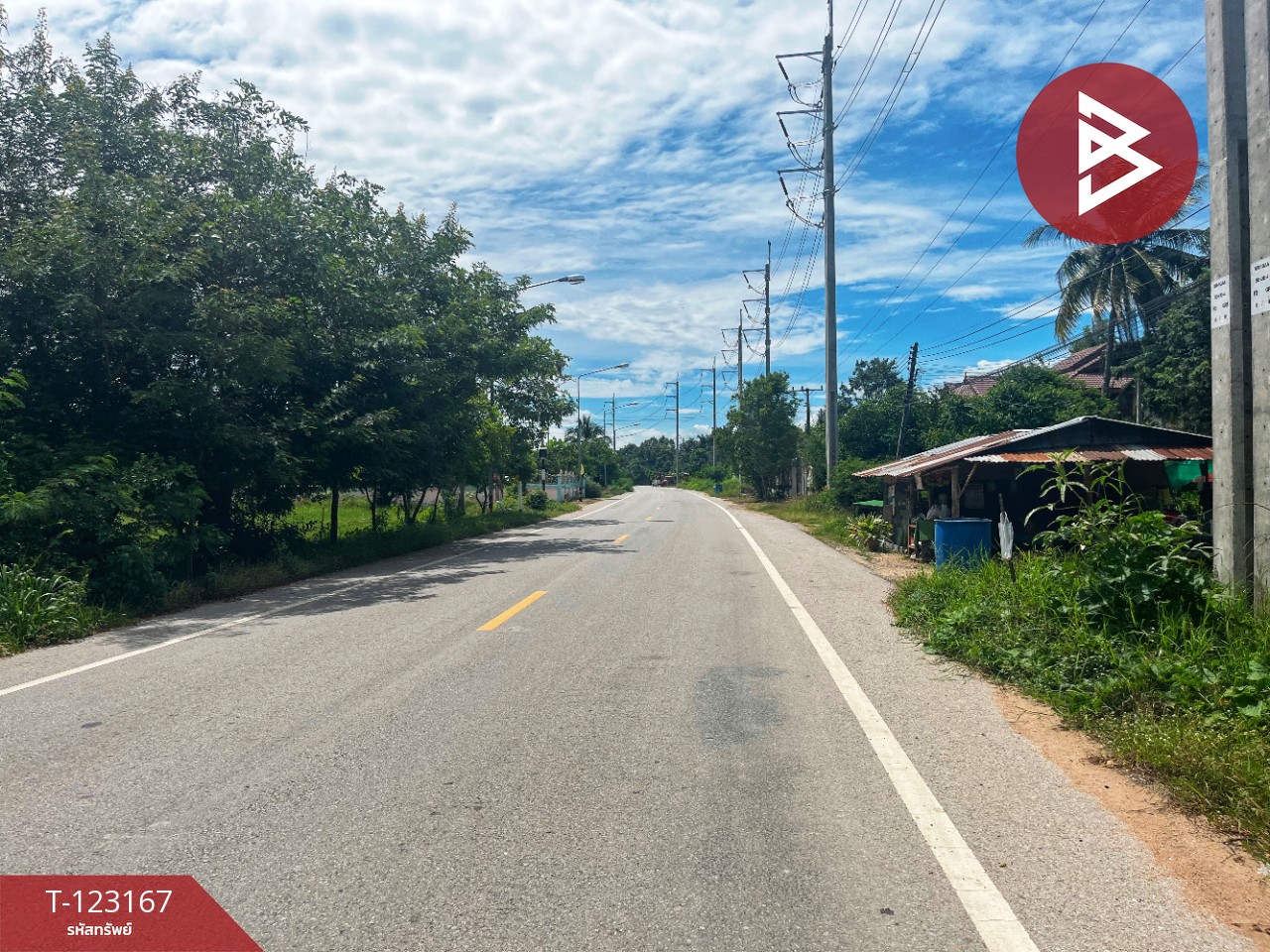 ขายที่ดิน เนื้อที่ 1 งาน 99 ตร.วา หนองขาหย่าง อุทัยธานี 4