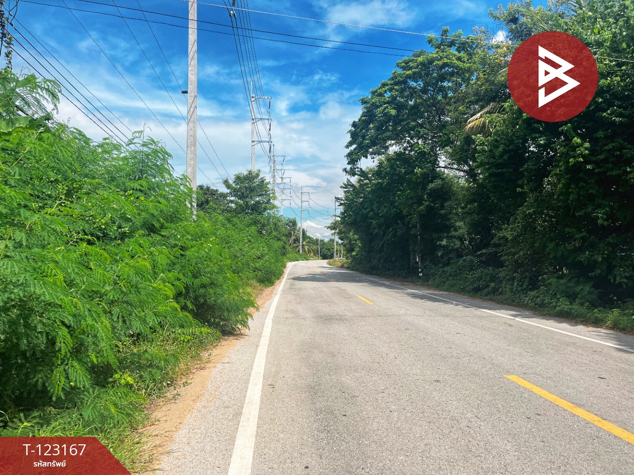 ขายที่ดิน เนื้อที่ 1 งาน 99 ตร.วา หนองขาหย่าง อุทัยธานี 5