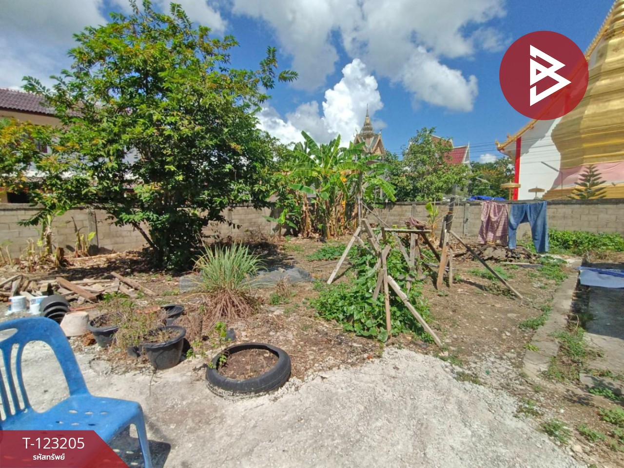 ขายบ้านเดี่ยว เนื้อที่ 1 งาน ดอกคำใต้ พะเยา 11