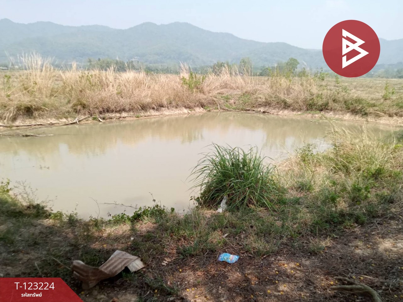 ขายที่ดินเปล่า เนื้อที่ 4 ไร่ 3 งาน 2.5 ตารางวา อ.เทิง เชียงราย 12