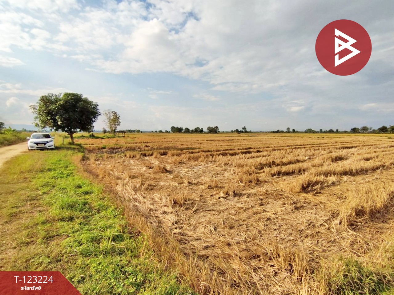 ขายที่ดินเปล่า เนื้อที่ 4 ไร่ 3 งาน 2.5 ตารางวา อ.เทิง เชียงราย 5