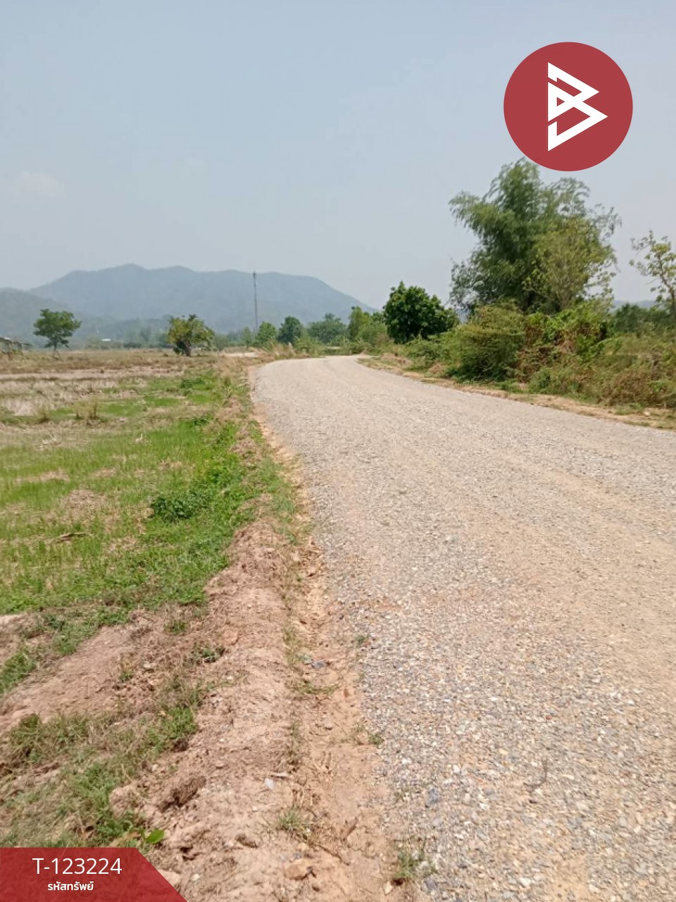 ขายที่ดินเปล่า เนื้อที่ 4 ไร่ 3 งาน 2.5 ตารางวา อ.เทิง เชียงราย 13