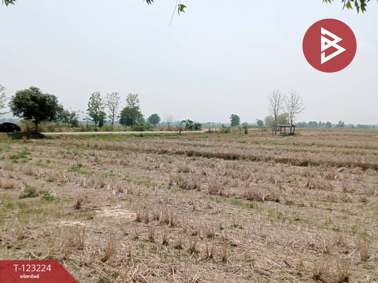 ขายที่ดินเปล่า เนื้อที่ 4 ไร่ 3 งาน 2.5 ตารางวา อ.เทิง เชียงราย 8