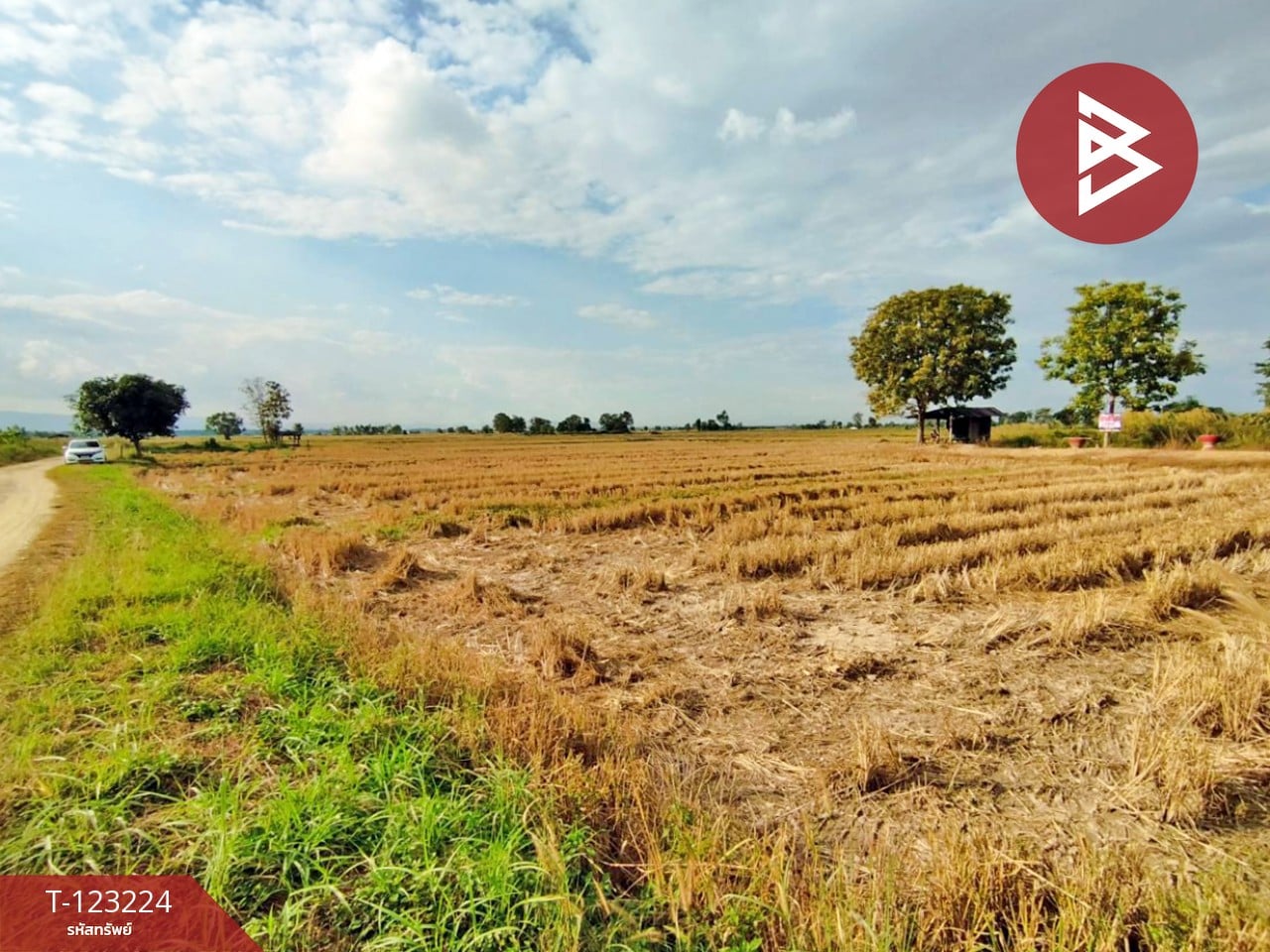 ขายที่ดินเปล่า เนื้อที่ 4 ไร่ 3 งาน 2.5 ตารางวา อ.เทิง เชียงราย 3