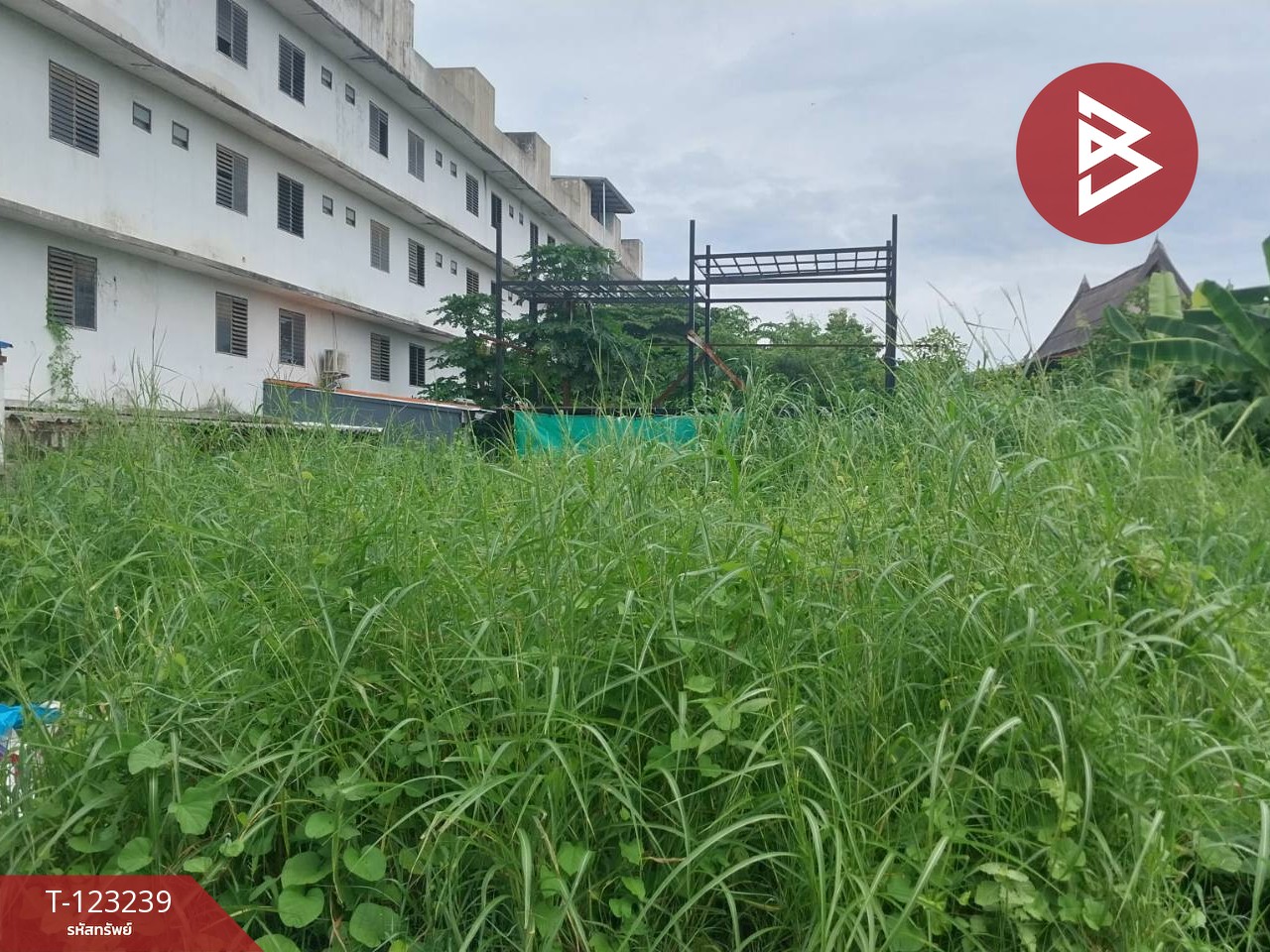 ขายที่ดิน เนื้อที่ 2 ไร่ 82 ตารางวา ต.ย่านซื่อ อ่างทอง โซนตลาดค้าส่ง 4