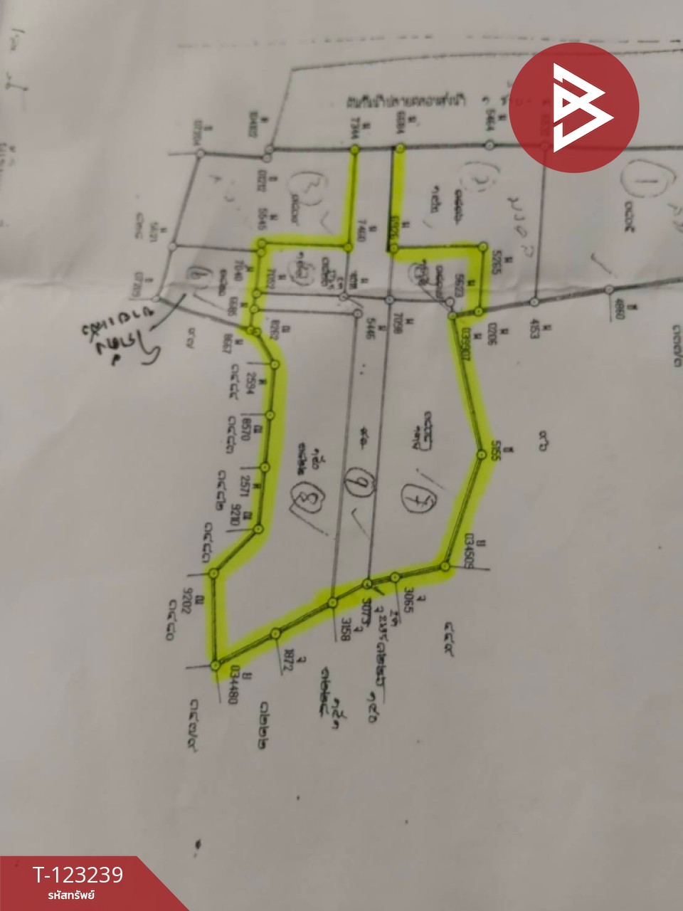 ขายที่ดิน เนื้อที่ 2 ไร่ 82 ตารางวา ต.ย่านซื่อ อ่างทอง โซนตลาดค้าส่ง 12