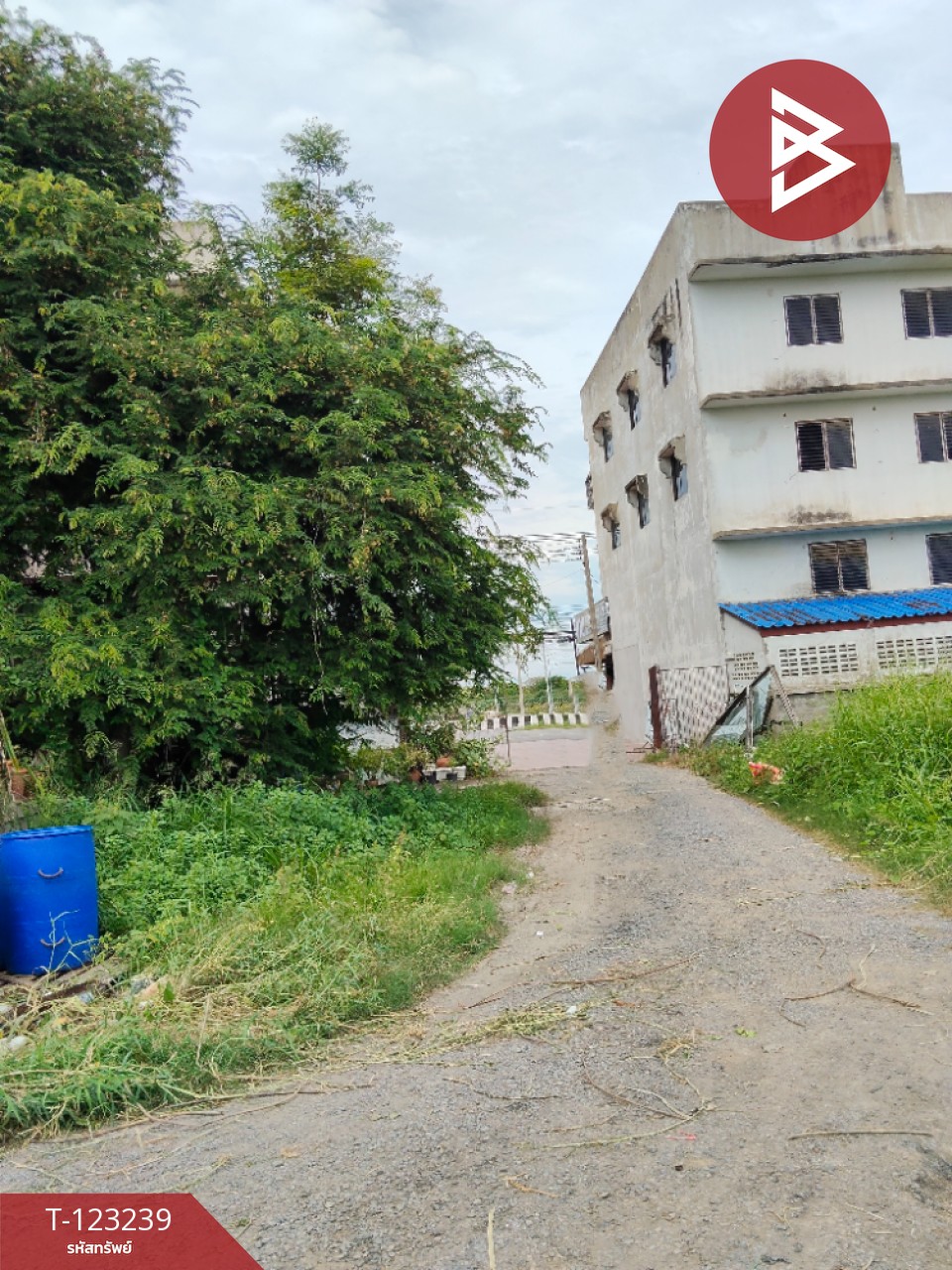 ขายที่ดิน เนื้อที่ 2 ไร่ 82 ตารางวา ต.ย่านซื่อ อ่างทอง โซนตลาดค้าส่ง 6