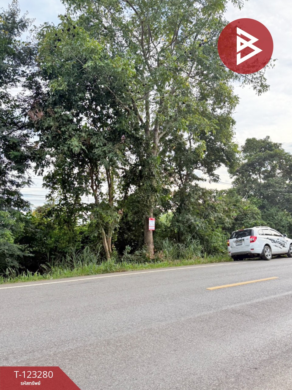 ขายที่ดิน เนื้อที่ 4 ไร่ ลับแล อุตรดิตถ์ 6