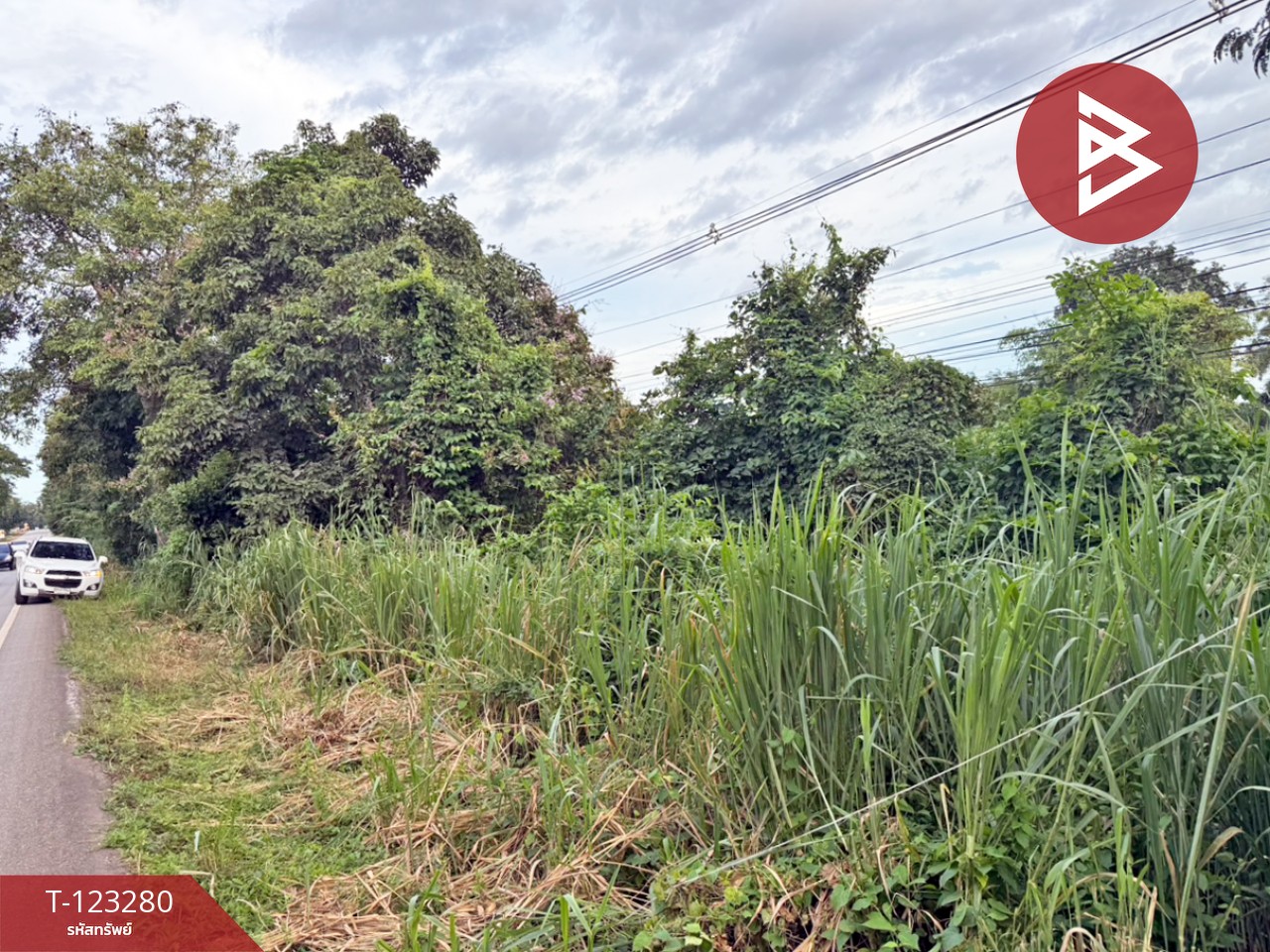 ขายที่ดิน เนื้อที่ 4 ไร่ ลับแล อุตรดิตถ์ 3