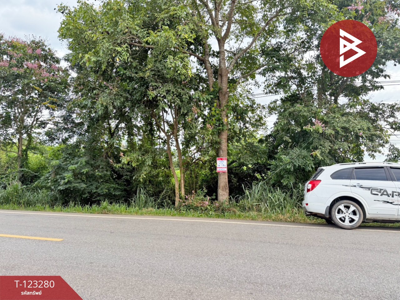 ขายที่ดิน เนื้อที่ 4 ไร่ ลับแล อุตรดิตถ์ 4