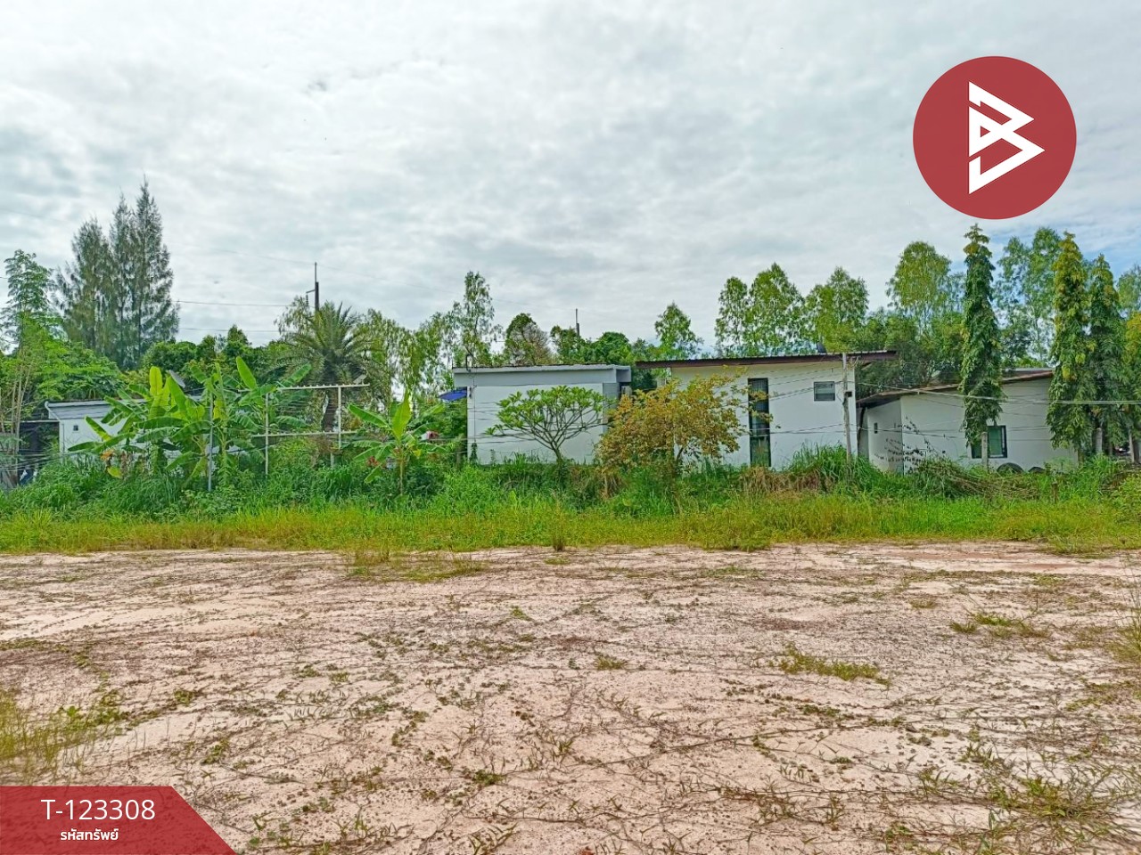 ขายที่ดิน เนื้อที่ 2 ไร่ 1 งาน 66 ตร.วา ธวัชบุรี ร้อยเอ็ด 5