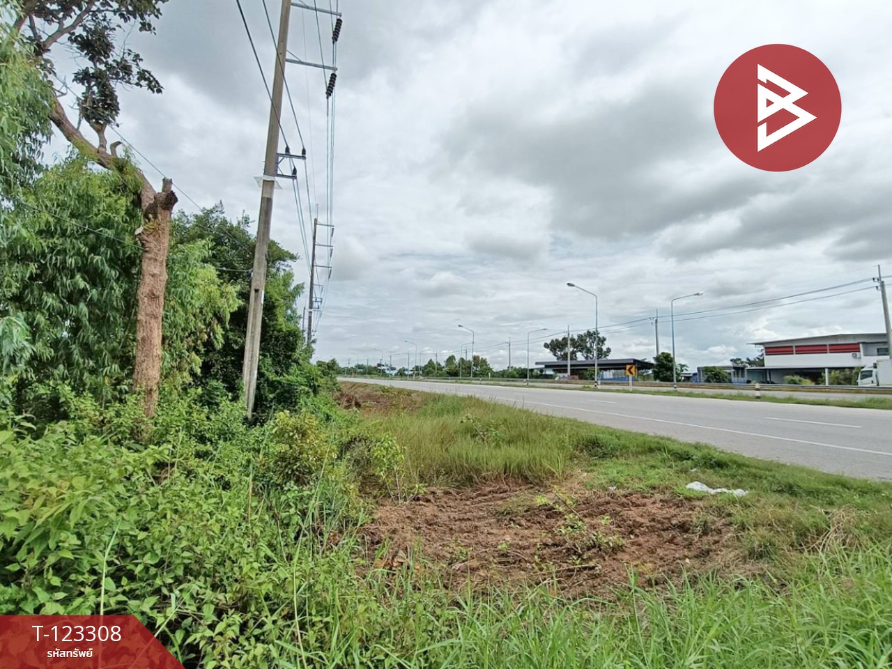 ขายที่ดิน เนื้อที่ 2 ไร่ 1 งาน 66 ตร.วา ธวัชบุรี ร้อยเอ็ด 10