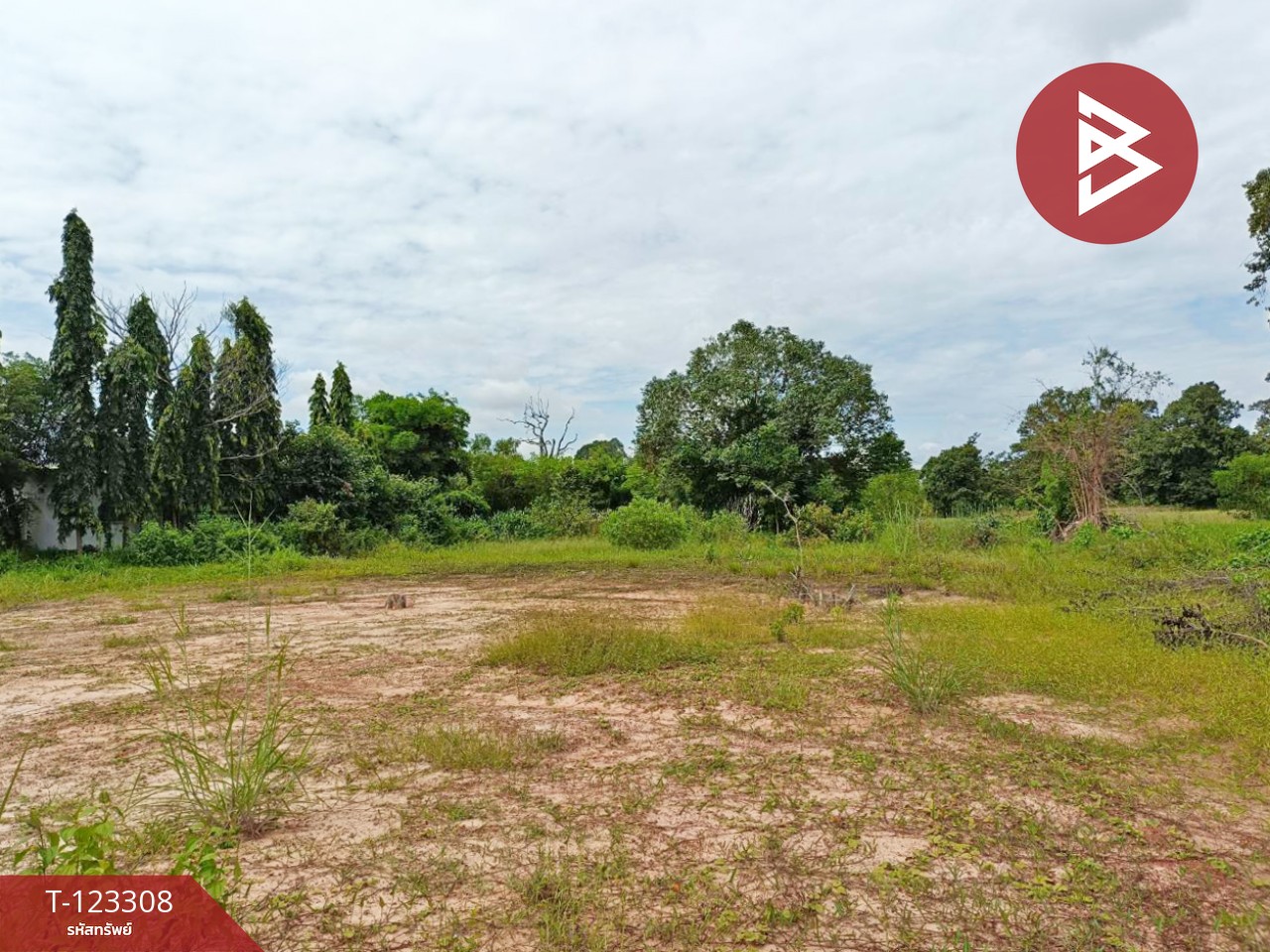 ขายที่ดิน เนื้อที่ 2 ไร่ 1 งาน 66 ตร.วา ธวัชบุรี ร้อยเอ็ด 1