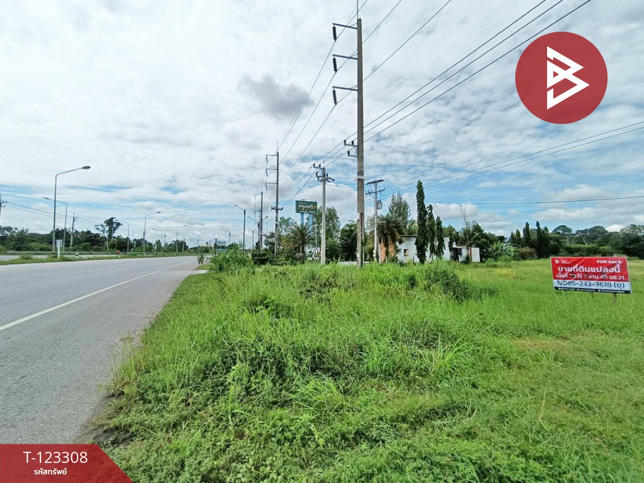 ขายที่ดิน เนื้อที่ 2 ไร่ 1 งาน 66 ตร.วา ธวัชบุรี ร้อยเอ็ด 8