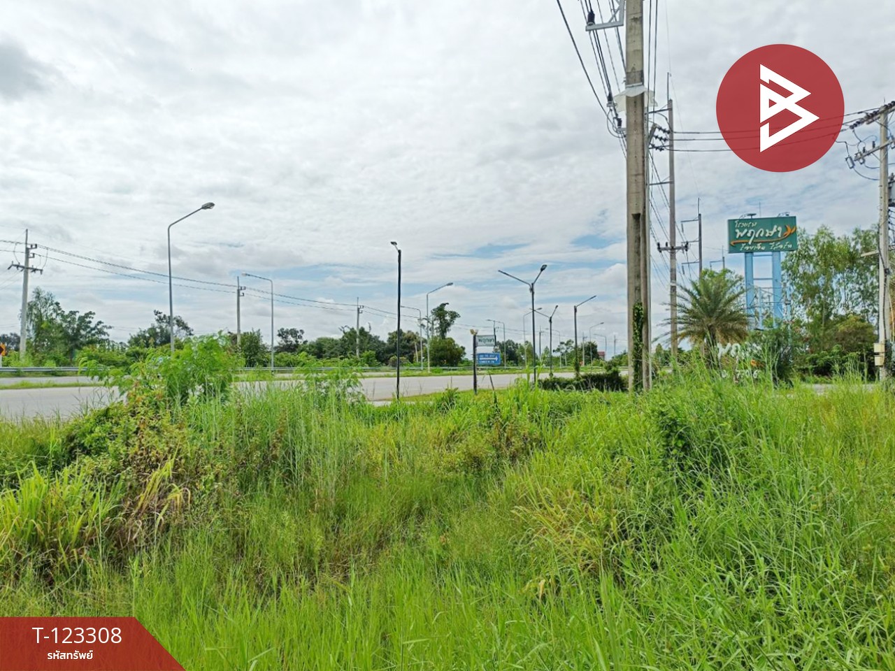 ขายที่ดิน เนื้อที่ 2 ไร่ 1 งาน 66 ตร.วา ธวัชบุรี ร้อยเอ็ด 9