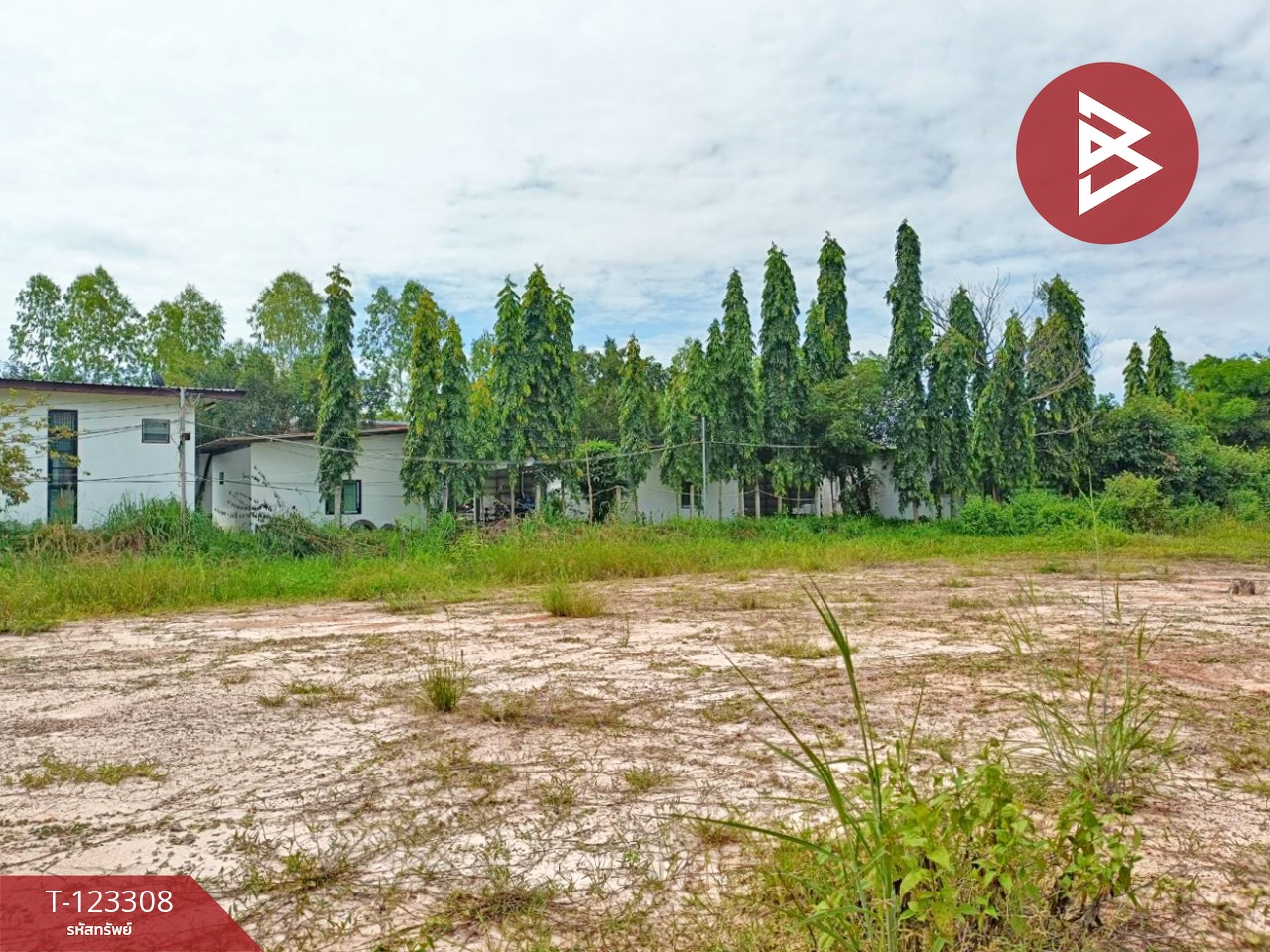 ขายที่ดิน เนื้อที่ 2 ไร่ 1 งาน 66 ตร.วา ธวัชบุรี ร้อยเอ็ด 6