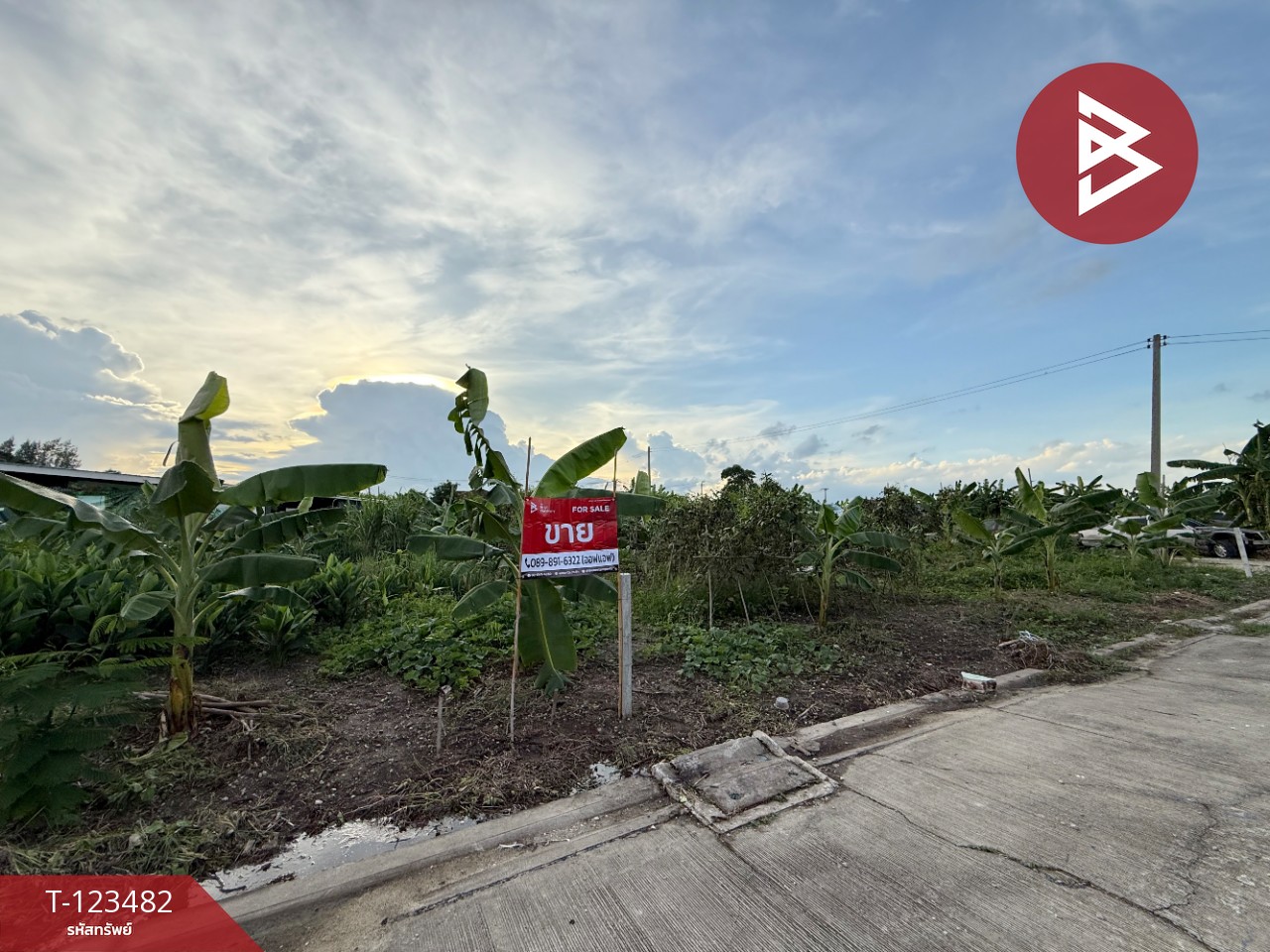 ขายที่ดิน เนื้อที่ 59.4 ตารางวา หมู่บ้านมายโฮมทาวน์ นครปฐม (Mildhome Town) 2