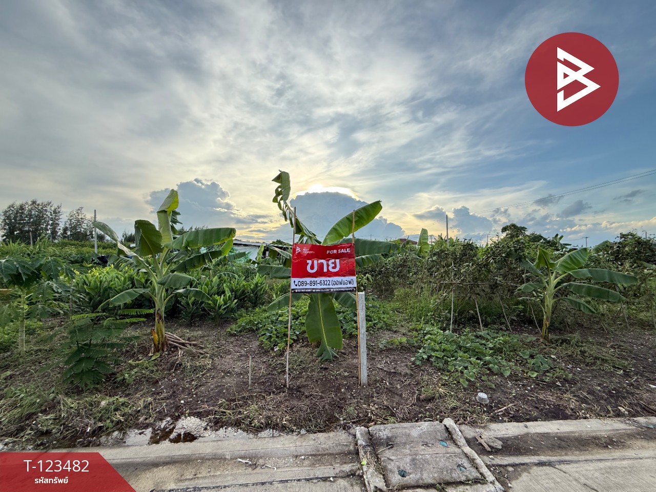 ขายที่ดิน เนื้อที่ 59.4 ตารางวา หมู่บ้านมายโฮมทาวน์ นครปฐม (Mildhome Town) 4