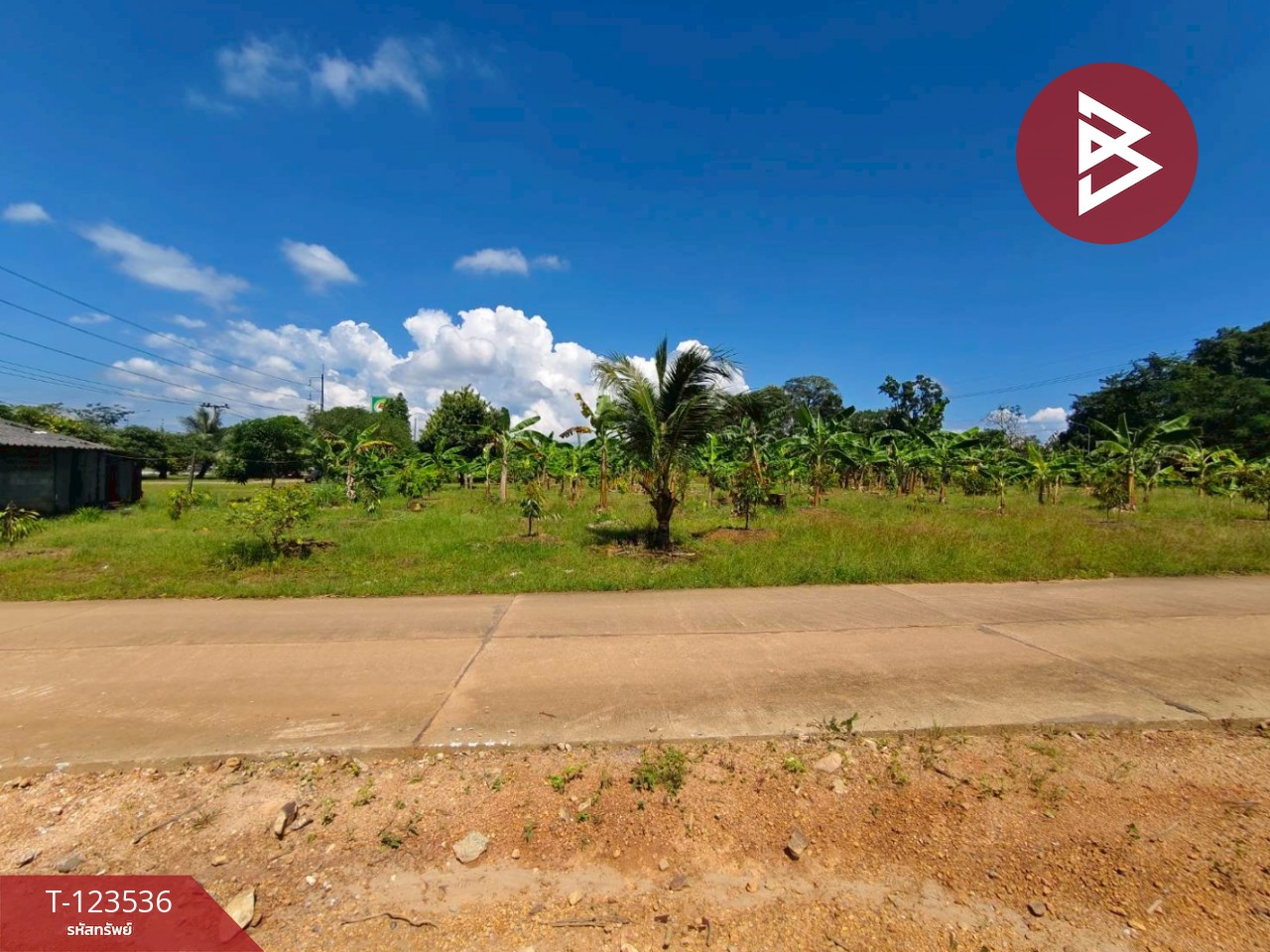 ขายที่ดิน เนื้อที่ 4 ไร่ 2 งาน 56.7ตร.วา ขลุง จันทบุรี 7