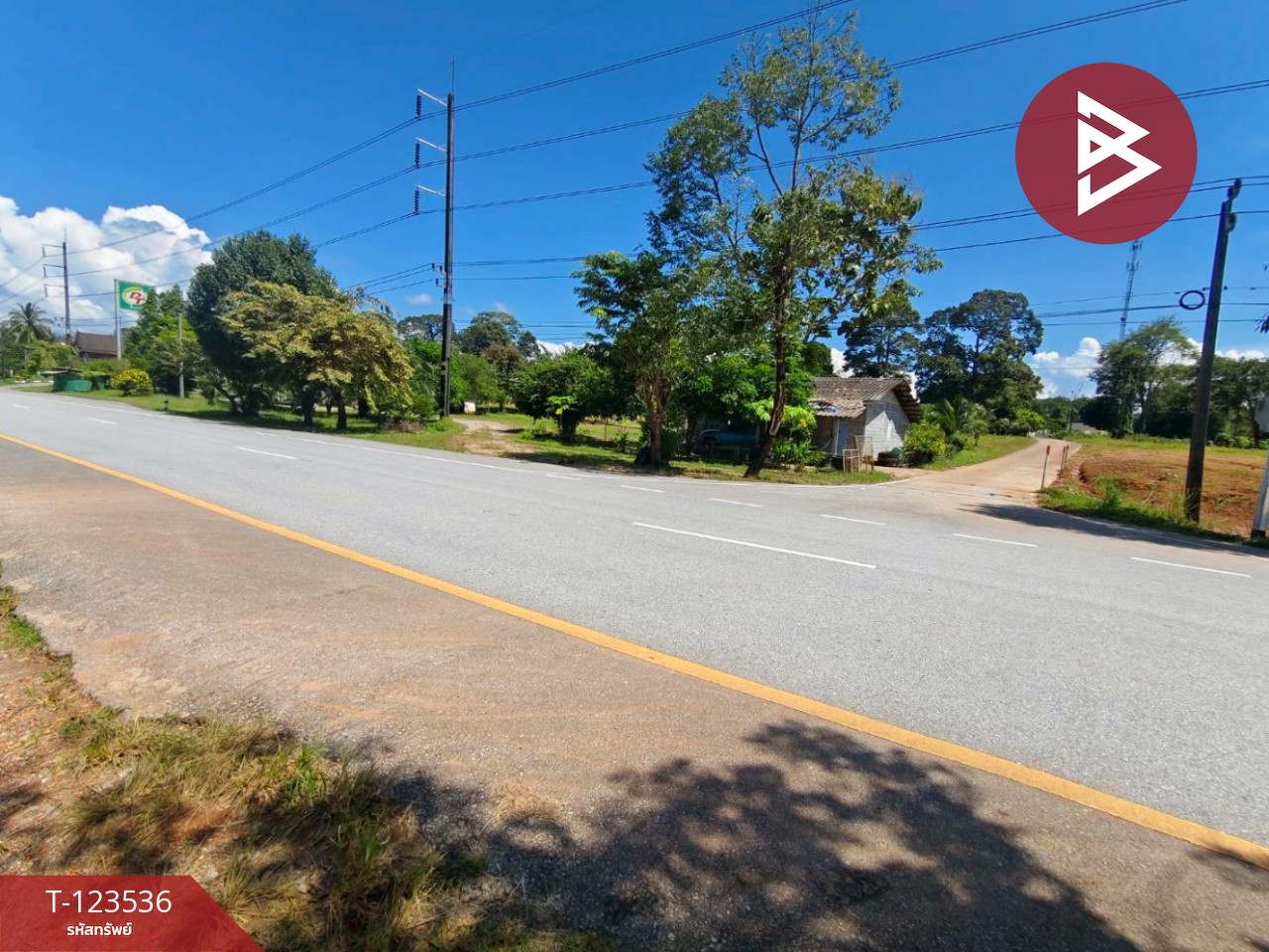 ขายที่ดิน เนื้อที่ 4 ไร่ 2 งาน 56.7ตร.วา ขลุง จันทบุรี 10