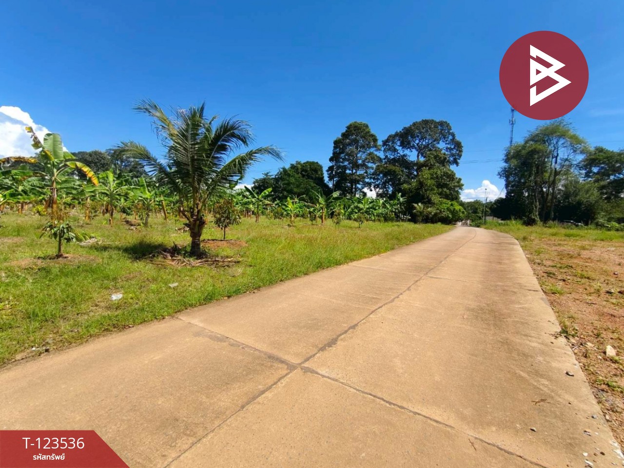 ขายที่ดิน เนื้อที่ 4 ไร่ 2 งาน 56.7ตร.วา ขลุง จันทบุรี 9