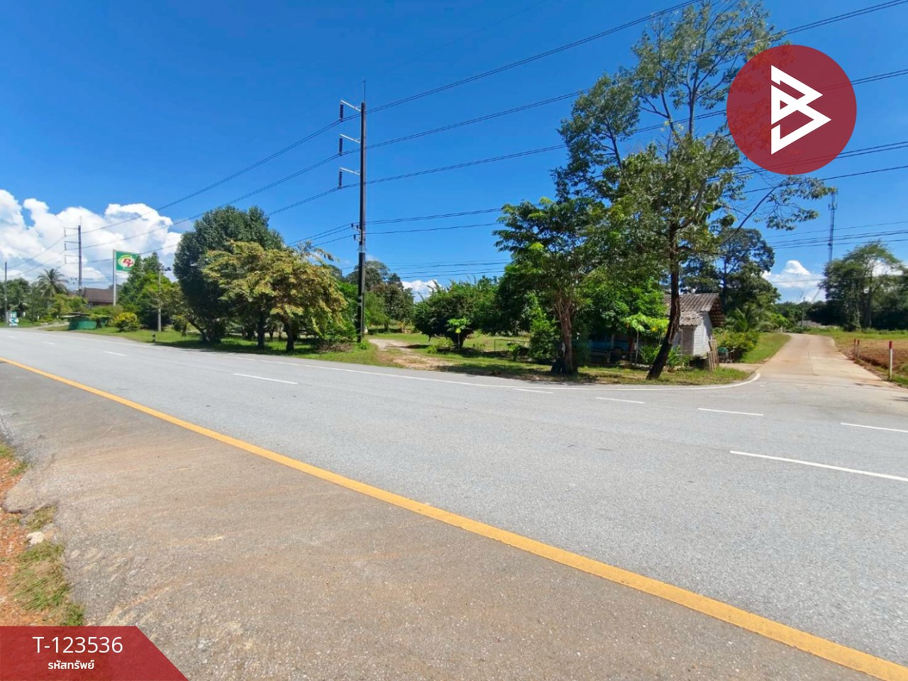 ขายที่ดิน เนื้อที่ 4 ไร่ 2 งาน 56.7ตร.วา ขลุง จันทบุรี 11