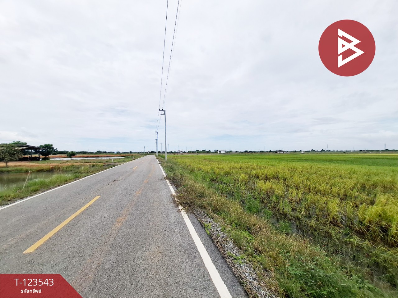 ขายที่ดิน เนื้อที่ 4 ไร่ 27 ตารางวา อ.บ้านโพธิ์ ฉะเชิงเทรา ทำเลดี 2