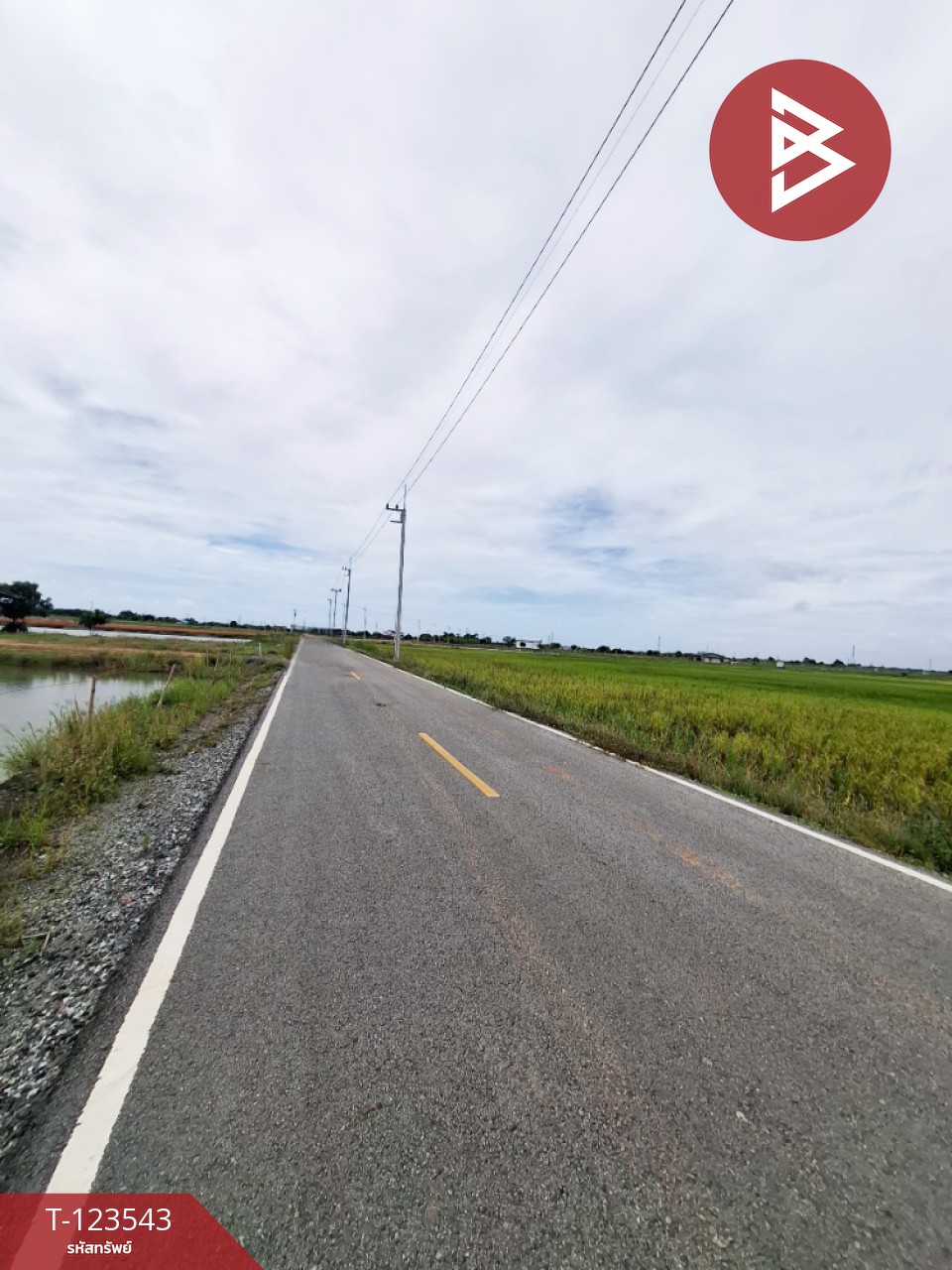 ขายที่ดิน เนื้อที่ 4 ไร่ 27 ตารางวา อ.บ้านโพธิ์ ฉะเชิงเทรา ทำเลดี 4