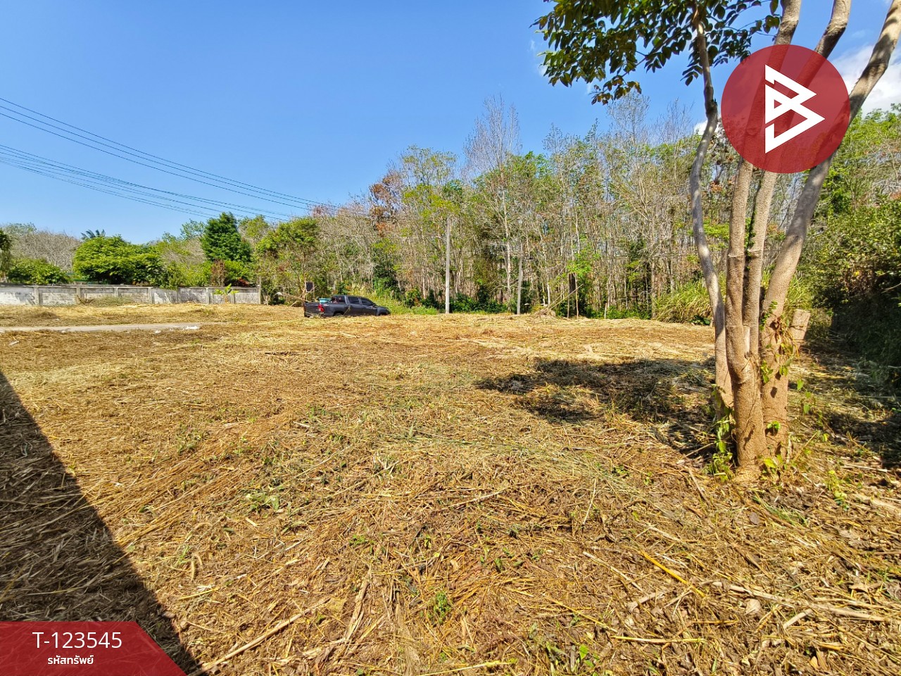 ขายที่ดิน เนื้อที่ 1 งาน 4.4 ตารางวา ต.แสลง จันทบุรี เหมาะสำหรับสร้างบ้าน 14