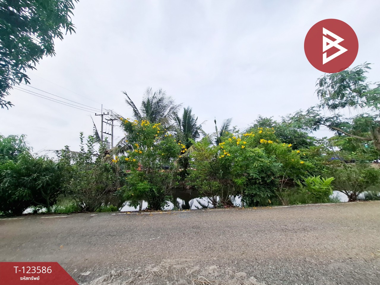 ขายบ้านเดี่ยวติดถนน เนื้อที่ 66.5 ตร.วา คลองจุกกระเฌอ ฉะเชิงเทรา 12