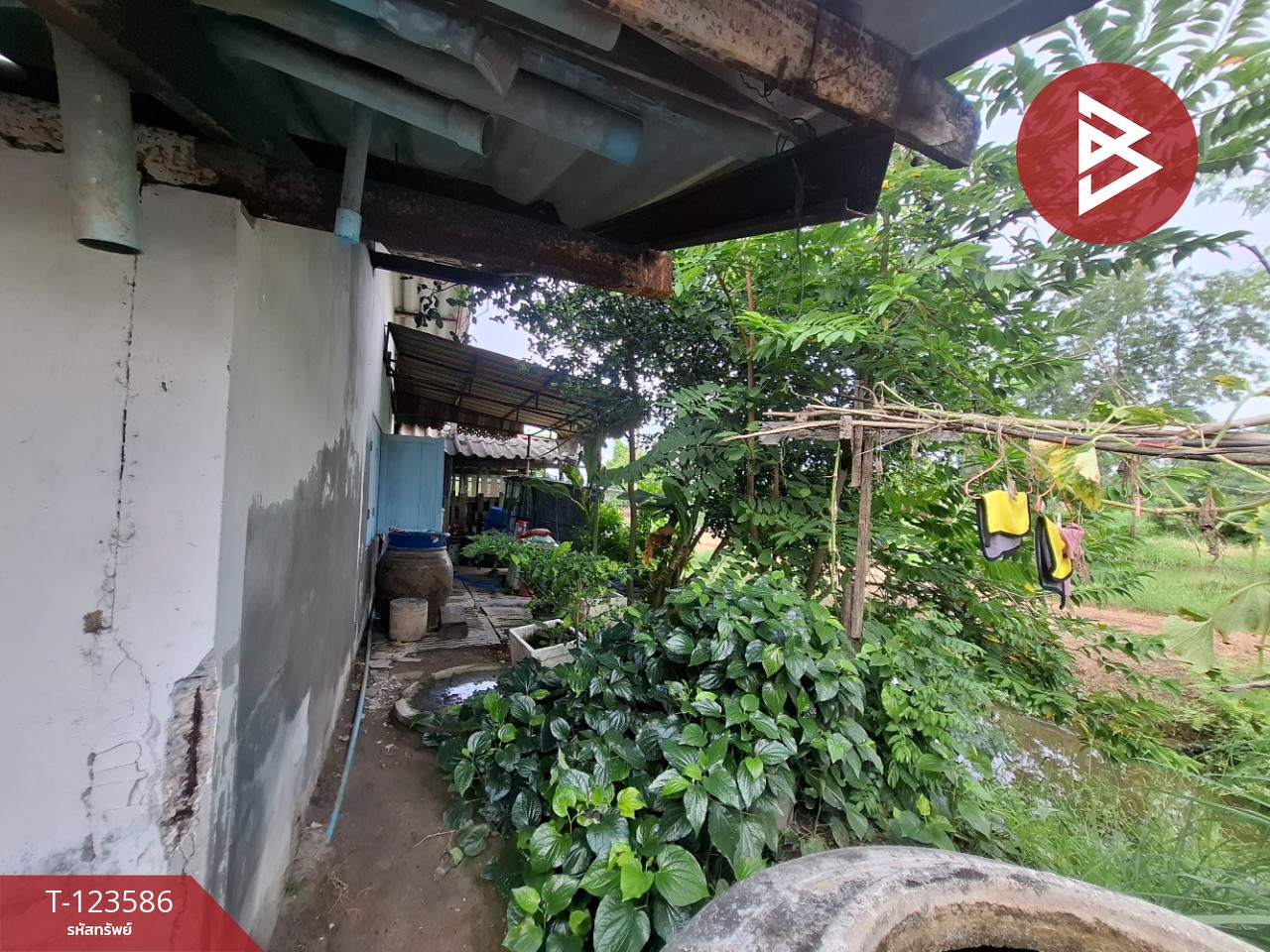 ขายบ้านเดี่ยวติดถนน เนื้อที่ 66.5 ตร.วา คลองจุกกระเฌอ ฉะเชิงเทรา 8