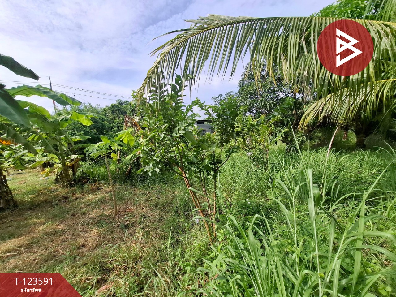 ขายที่ดินพร้อมสวนผสม เนื้อที่ 2 งาน 89 ตารางวา ต.คลองจุกกระเฌอ ฉะเชิงเทรา 2