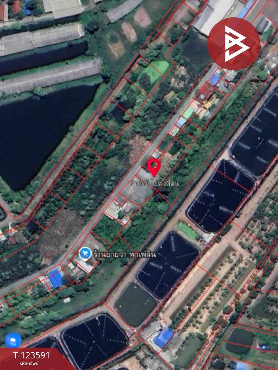 ขายที่ดินพร้อมสวนผสม เนื้อที่ 2 งาน 89 ตารางวา ต.คลองจุกกระเฌอ ฉะเชิงเทรา 7