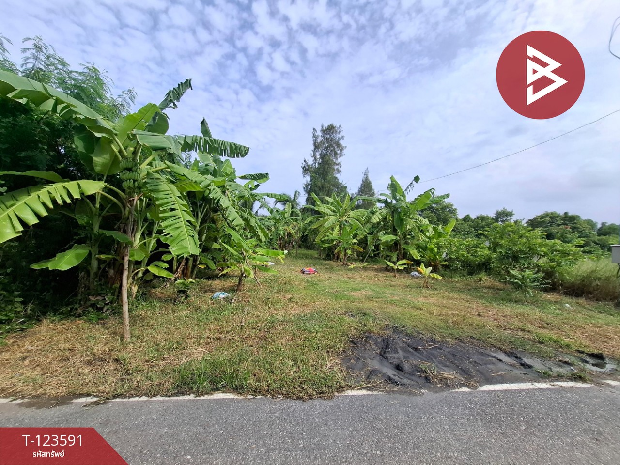 ขายที่ดินพร้อมสวนผสม เนื้อที่ 2 งาน 89 ตารางวา ต.คลองจุกกระเฌอ ฉะเชิงเทรา 1