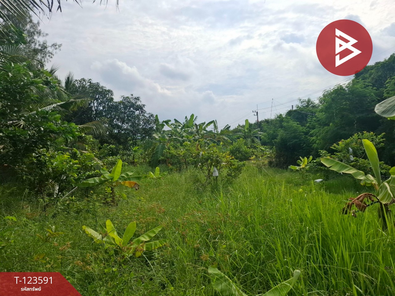 ขายที่ดินพร้อมสวนผสม เนื้อที่ 2 งาน 89 ตารางวา ต.คลองจุกกระเฌอ ฉะเชิงเทรา 5