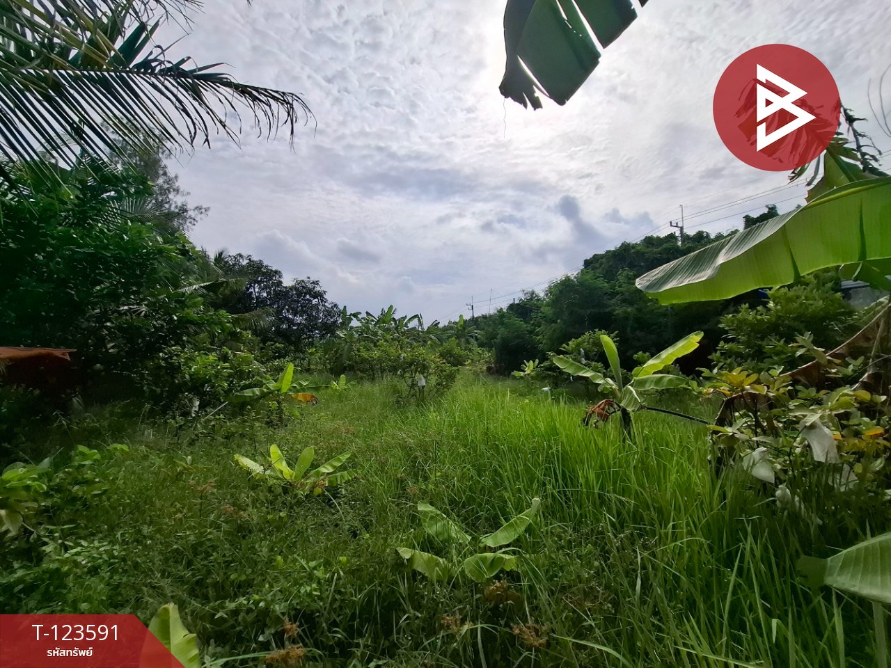 ขายที่ดินพร้อมสวนผสม เนื้อที่ 2 งาน 89 ตารางวา ต.คลองจุกกระเฌอ ฉะเชิงเทรา 4