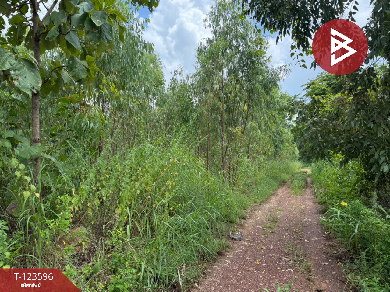 ขายที่ดิน เนื้อที่ 30 ไร่ 3 งาน 36 ตารางวา น้ำพี้ อุตรดิตถ์ 10