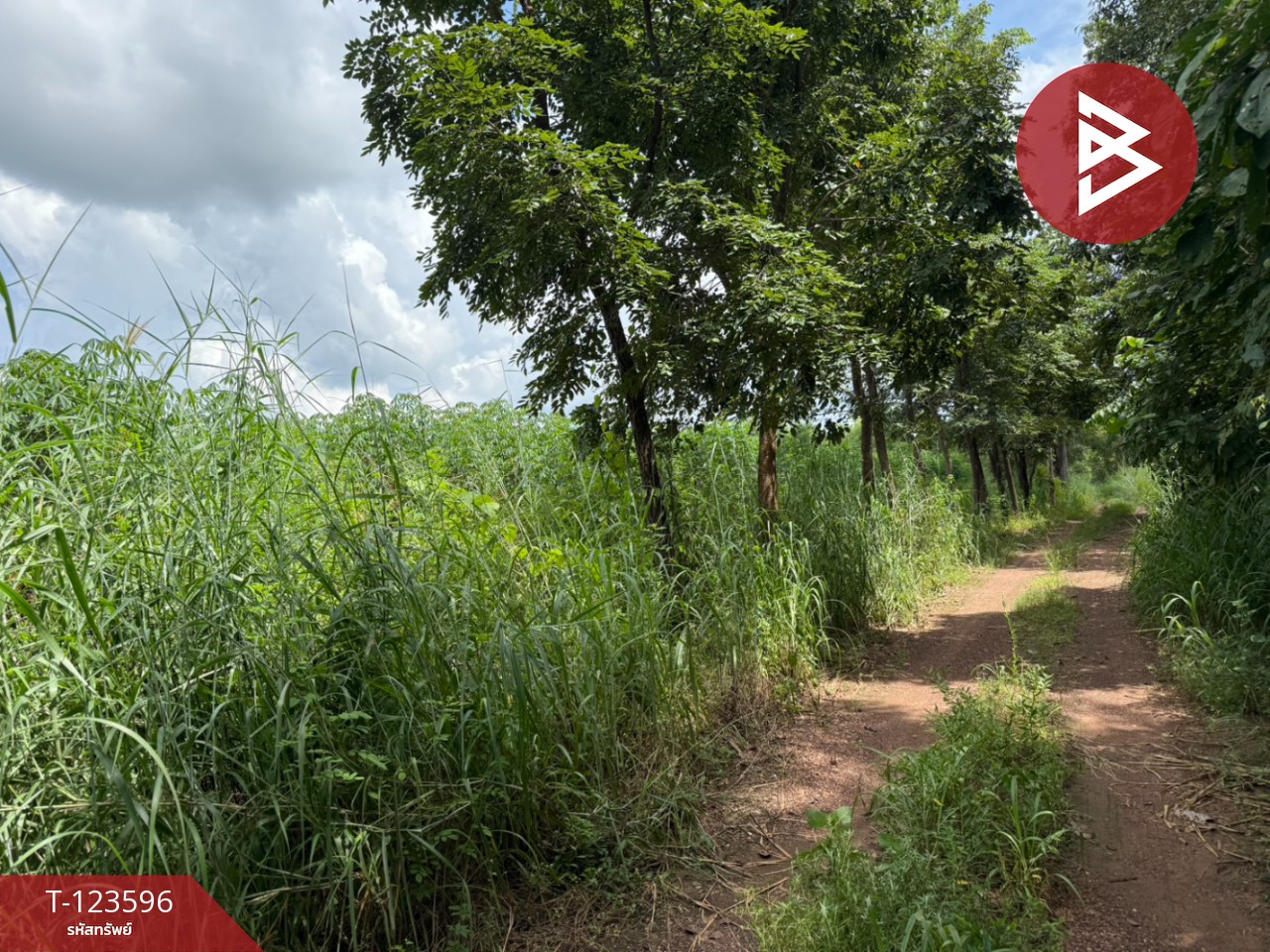 ขายที่ดิน เนื้อที่ 30 ไร่ 3 งาน 36 ตารางวา น้ำพี้ อุตรดิตถ์ 5