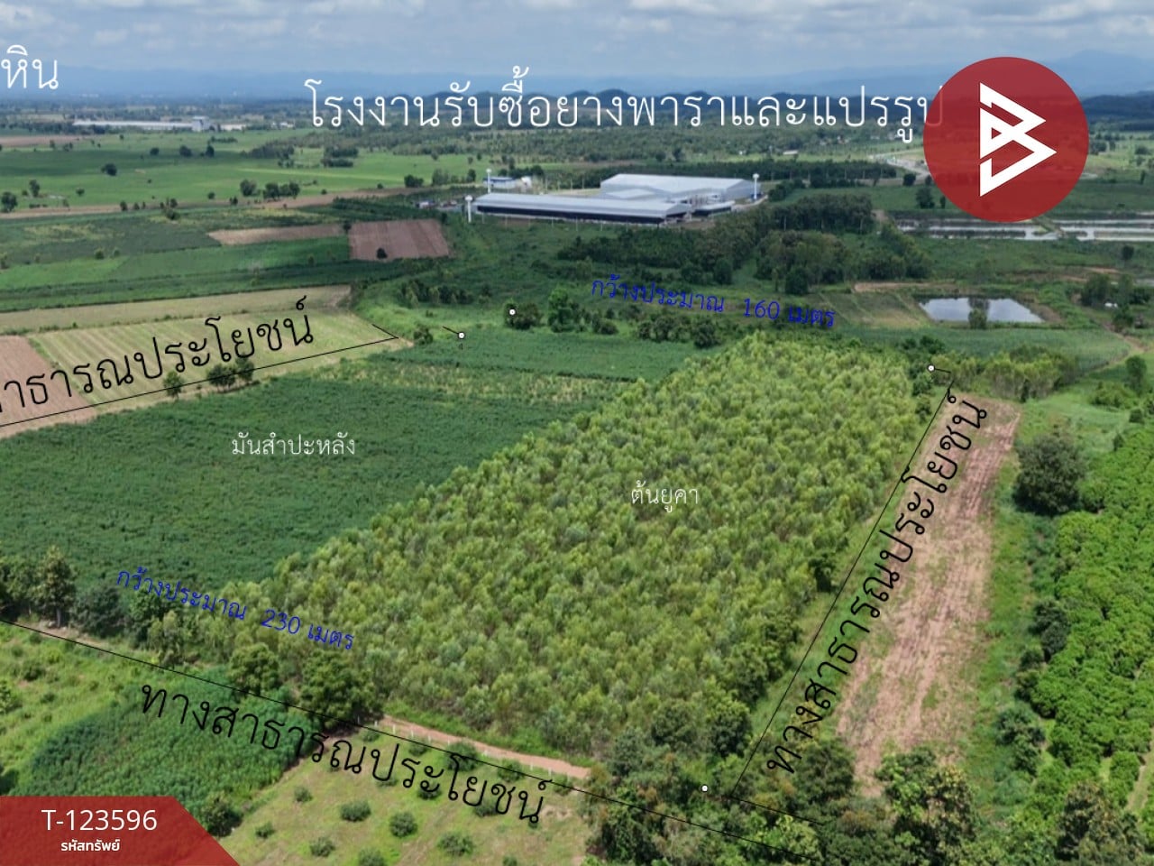 ขายที่ดิน เนื้อที่ 30 ไร่ 3 งาน 36 ตารางวา น้ำพี้ อุตรดิตถ์ 2