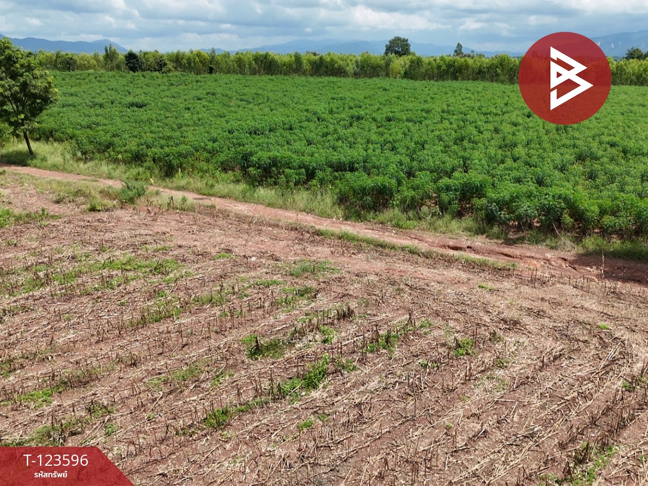 ขายที่ดิน เนื้อที่ 30 ไร่ 3 งาน 36 ตารางวา น้ำพี้ อุตรดิตถ์ 6